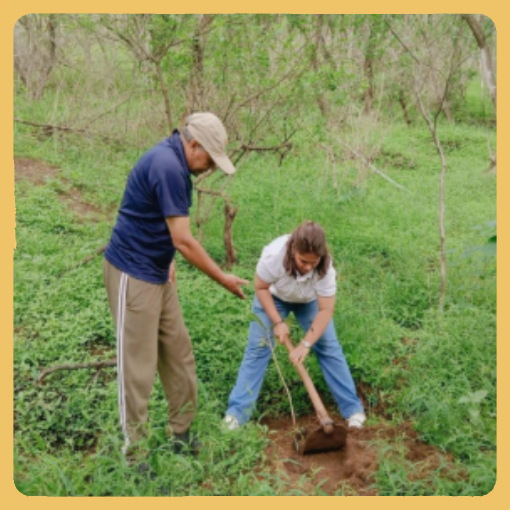 Climate Action & Sustainability