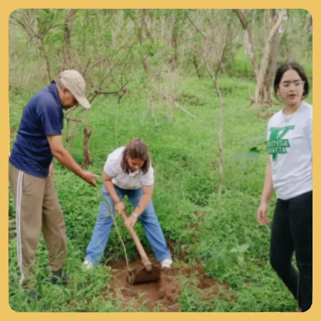 Climate Action & Sustainability