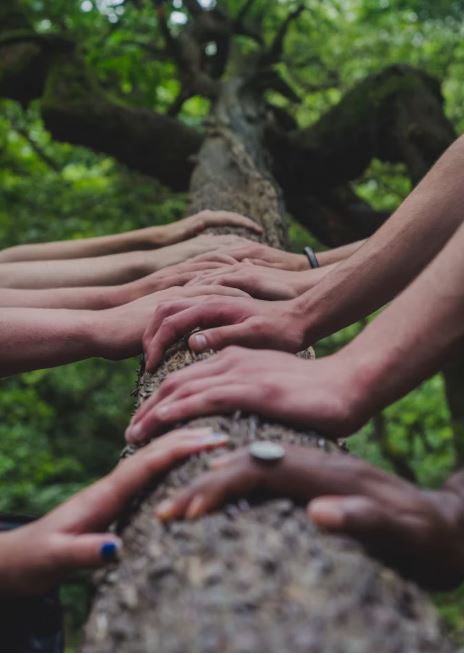 Corporate Social Responsibility