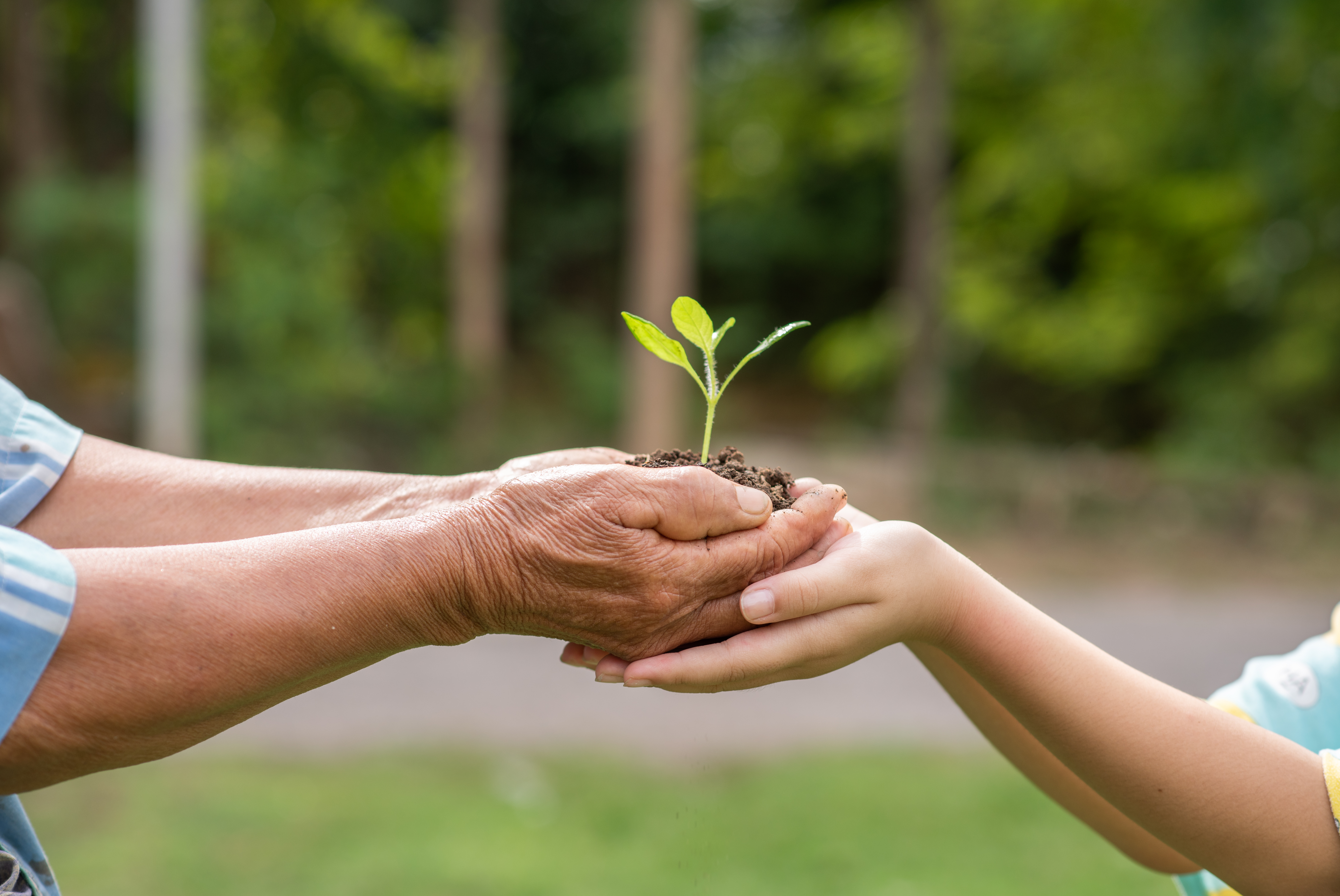 Climate Change NGO in India